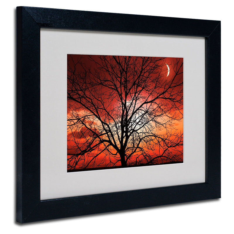 Trademark Fine Art 'Big Bad Moon' 11" x 14" Black Frame Art