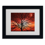 Trademark Fine Art 'Big Bad Moon' 11" x 14" Black Frame Art