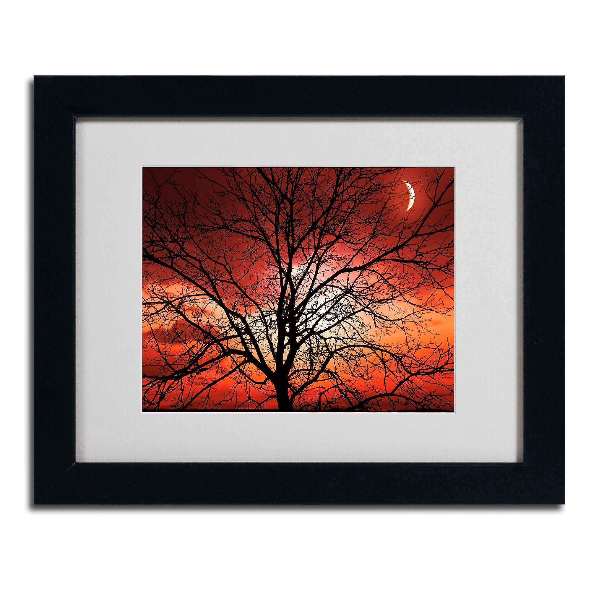 Trademark Fine Art 'Big Bad Moon' 11" x 14" Black Frame Art