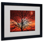 Trademark Fine Art 'Big Bad Moon' 16" x 20" Black Frame Art