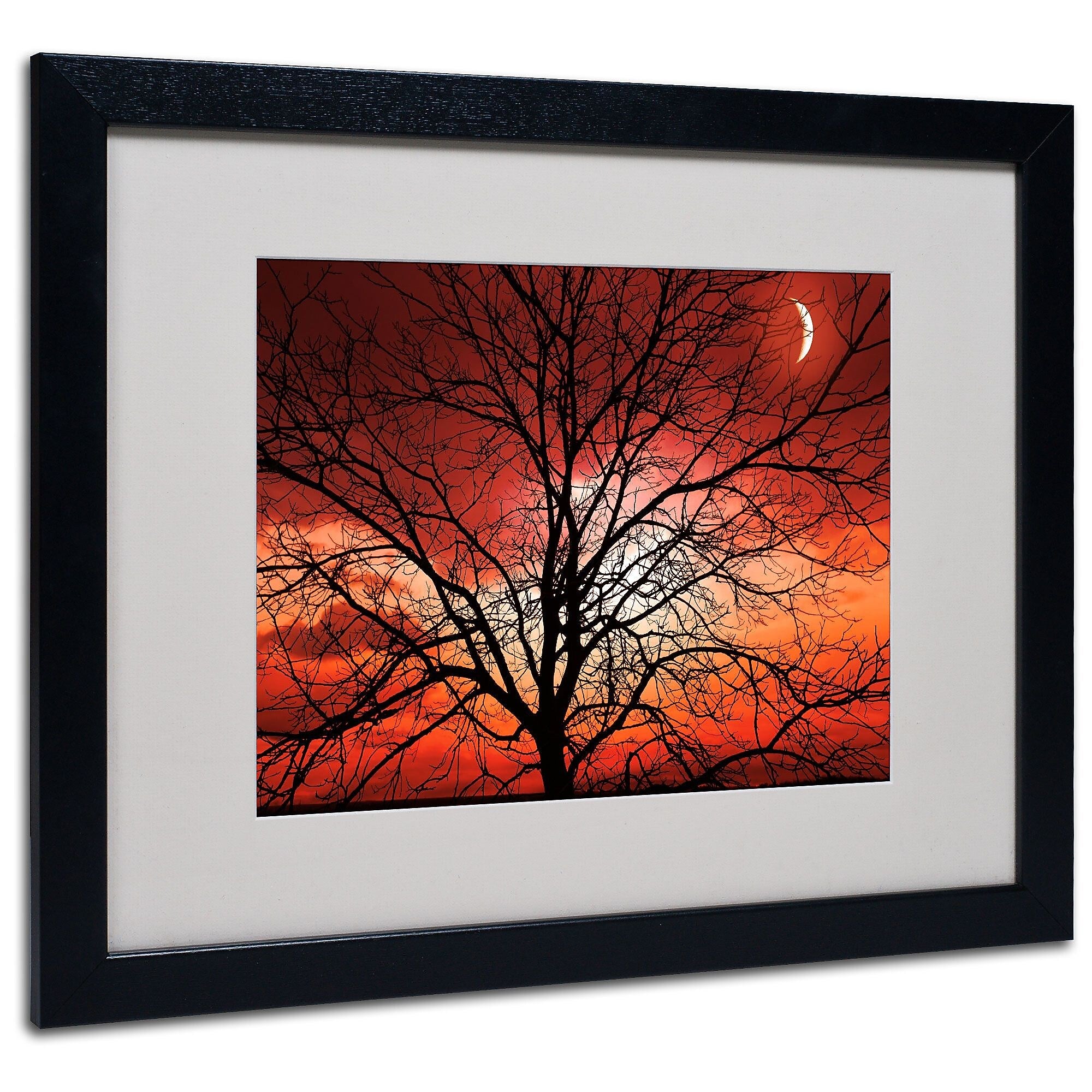 Trademark Fine Art 'Big Bad Moon' 16" x 20" Black Frame Art