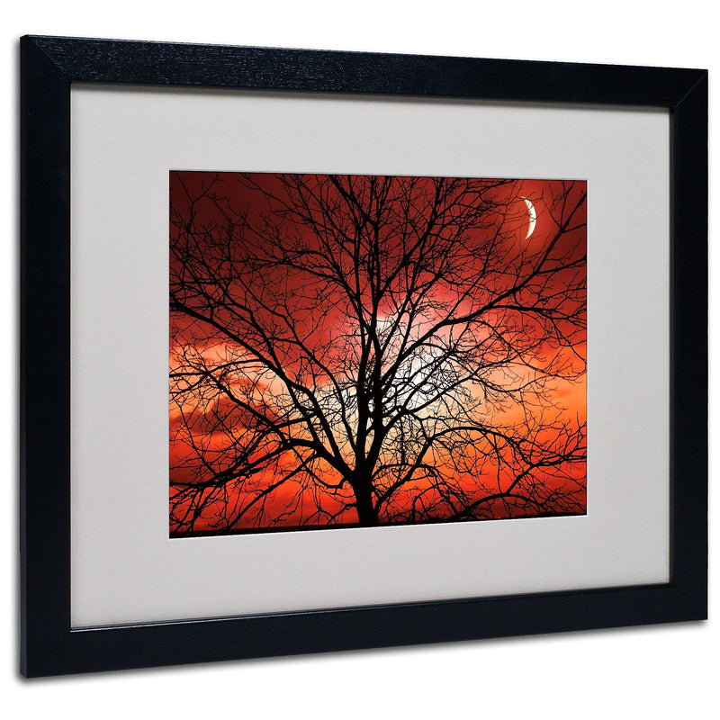 Trademark Fine Art 'Big Bad Moon' 16" x 20" Black Frame Art