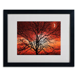 Trademark Fine Art 'Big Bad Moon' 16" x 20" Black Frame Art