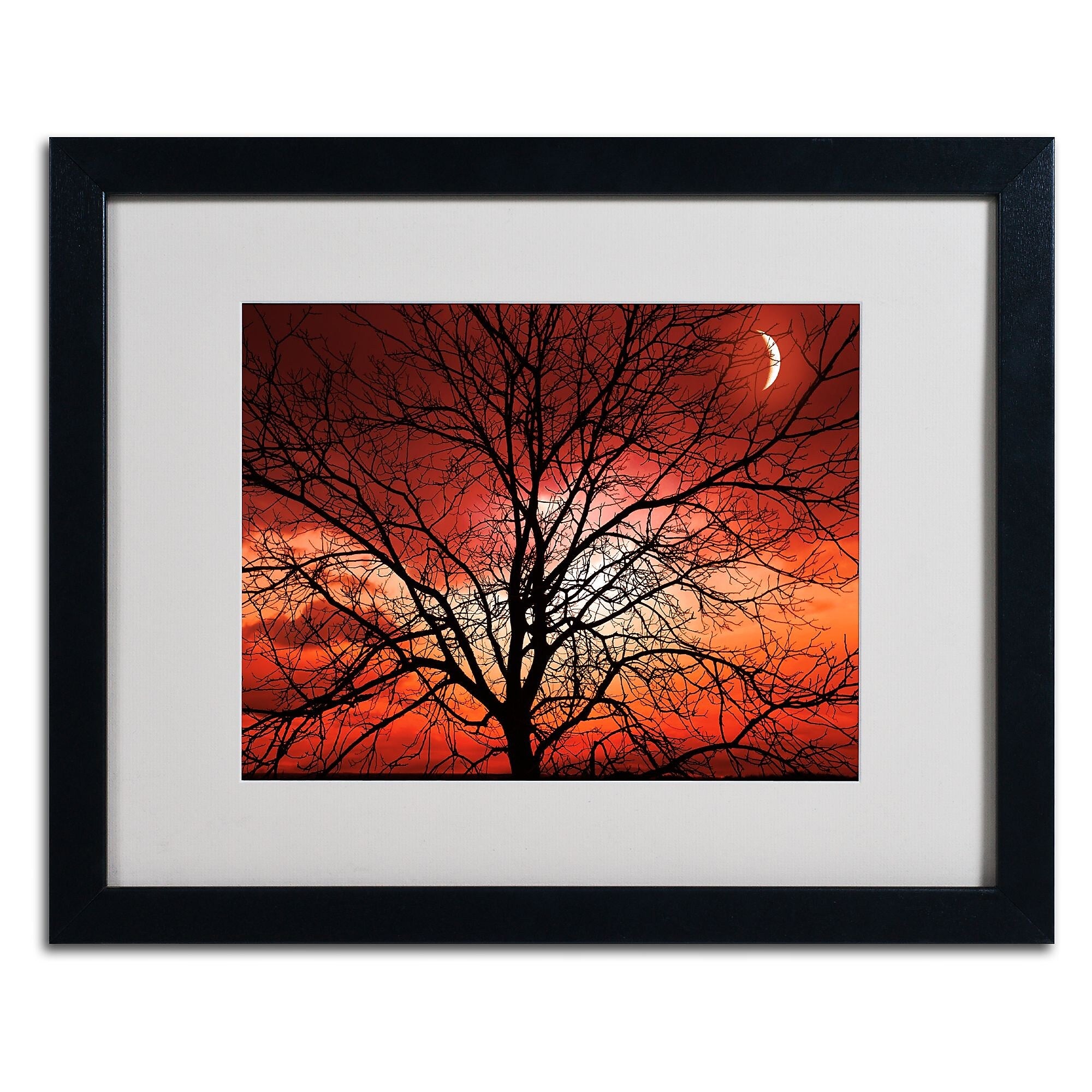 Trademark Fine Art 'Big Bad Moon' 16" x 20" Black Frame Art