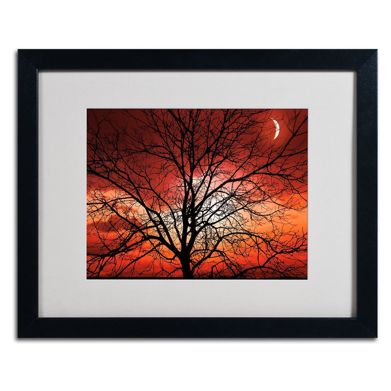Trademark Fine Art 'Big Bad Moon' 16" x 20" Black Frame Art
