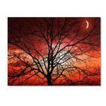 Trademark Fine Art 'Big Bad Moon' 14" x 19" Canvas Art