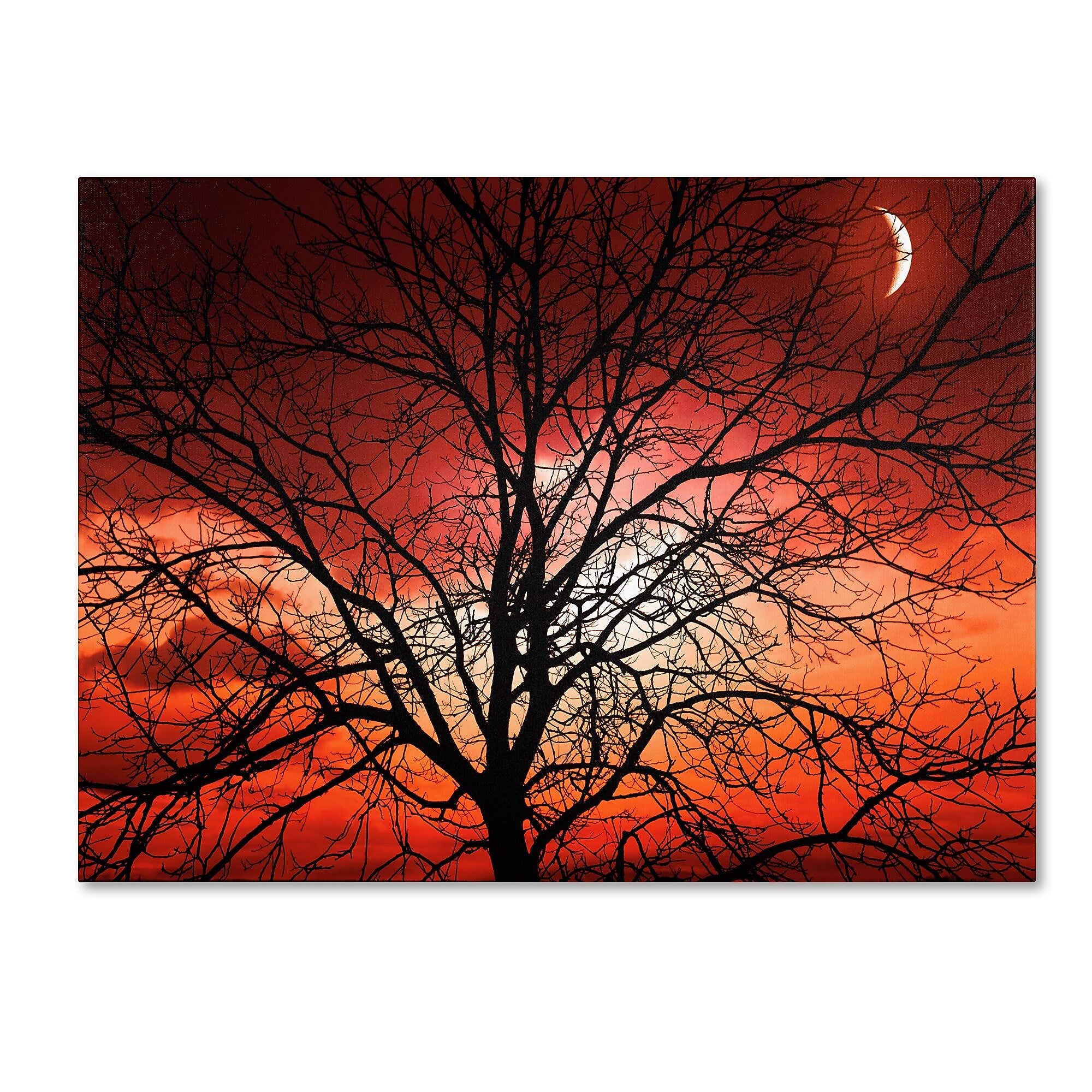 Trademark Fine Art 'Big Bad Moon' 14" x 19" Canvas Art
