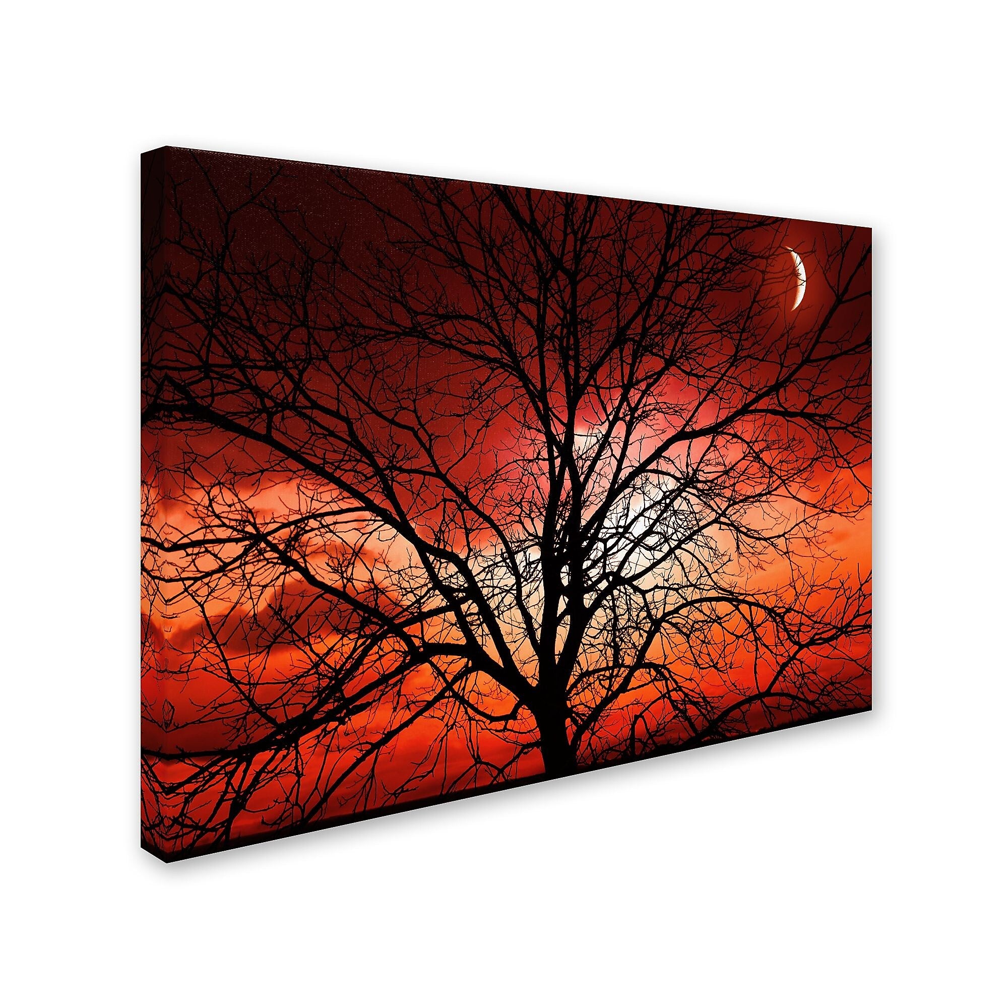 Trademark Fine Art 'Big Bad Moon' 30" x 47" Canvas Art