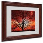 Trademark Fine Art 'Big Bad Moon' 11" x 14" Wood Frame Art