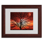 Trademark Fine Art 'Big Bad Moon' 11" x 14" Wood Frame Art