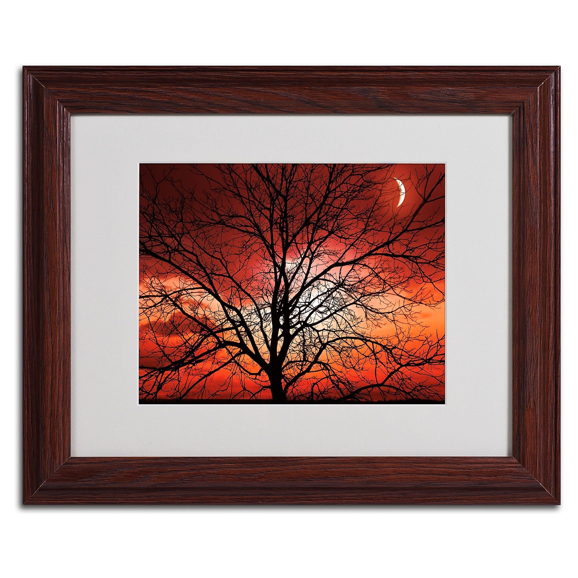Trademark Fine Art 'Big Bad Moon' 11" x 14" Wood Frame Art