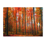 Trademark Fine Art 'Dominated' 30" x 47" Canvas Art