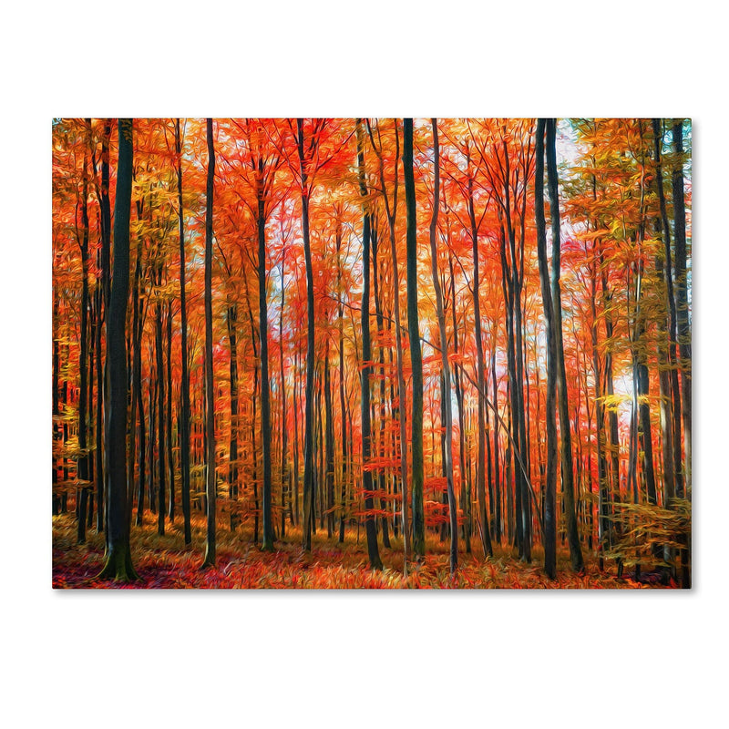 Trademark Fine Art 'Dominated' 30" x 47" Canvas Art