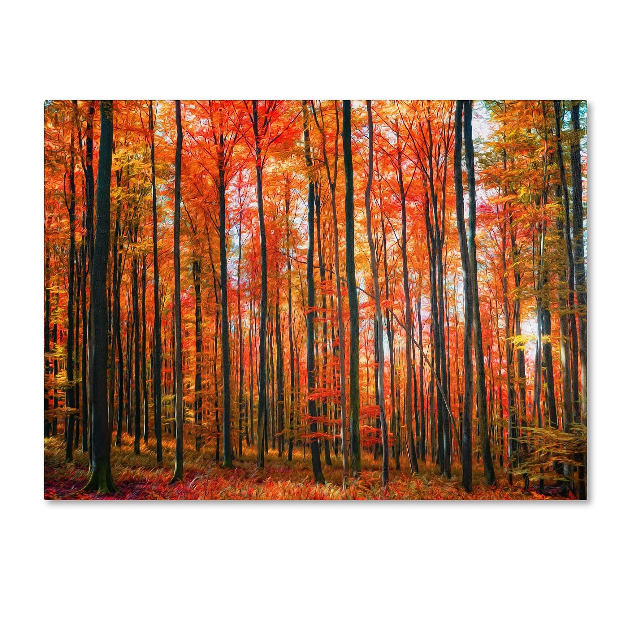 Trademark Fine Art 'Dominated' 22" x 32" Canvas Art