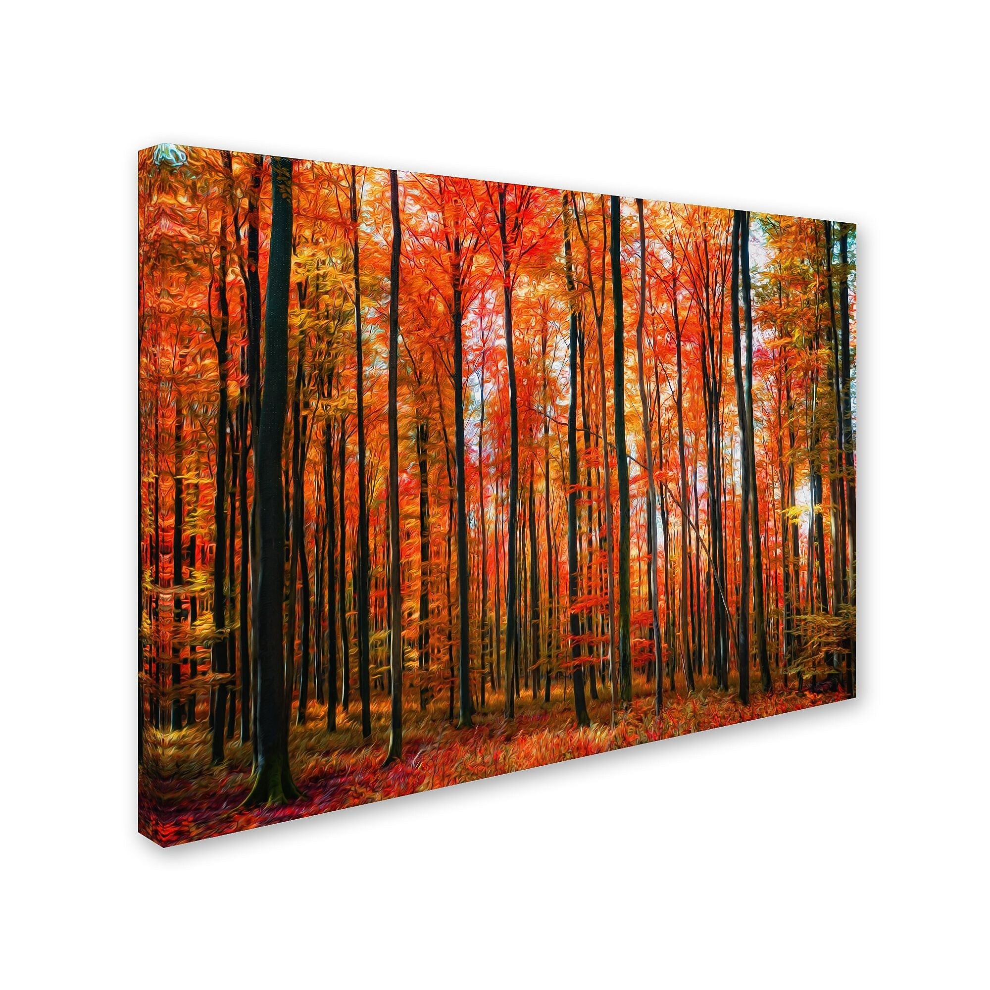 Trademark Fine Art 'Dominated' 30" x 47" Canvas Art