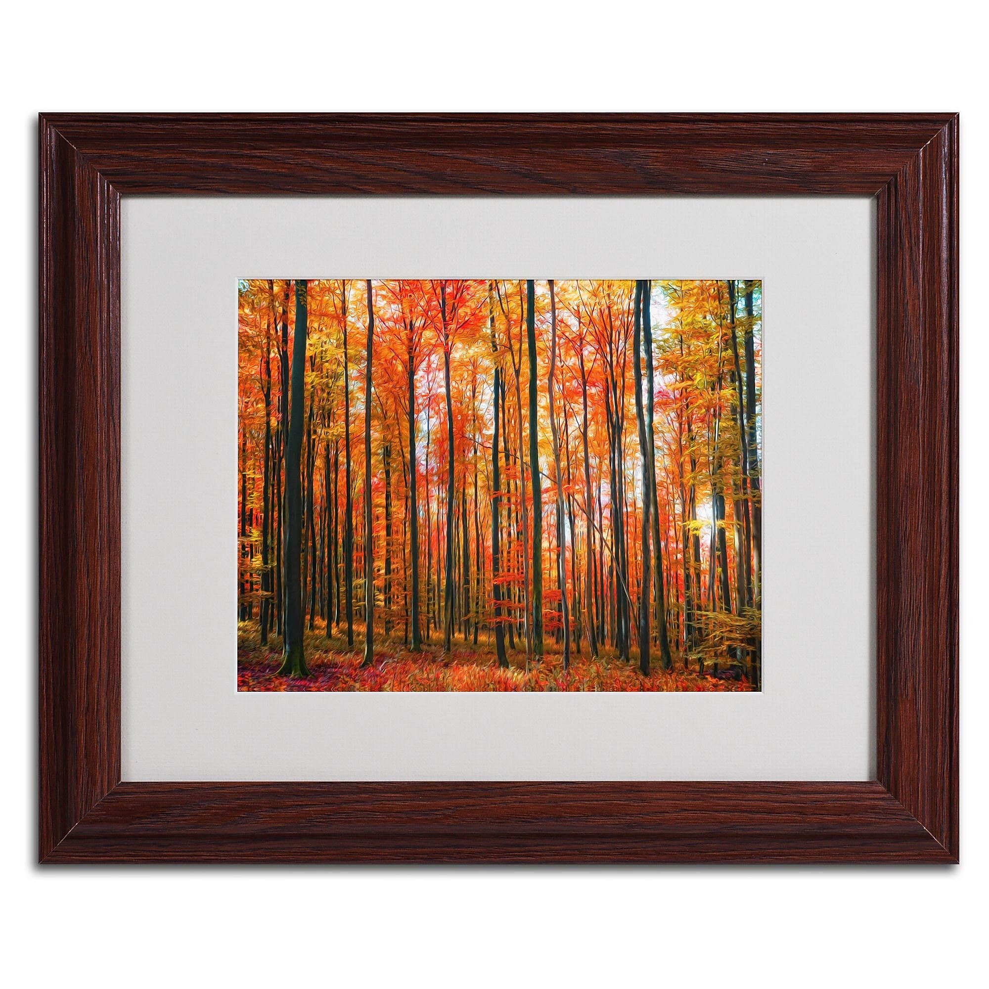 Trademark Fine Art 'Dominated' 11" x 14" Wood Frame Art
