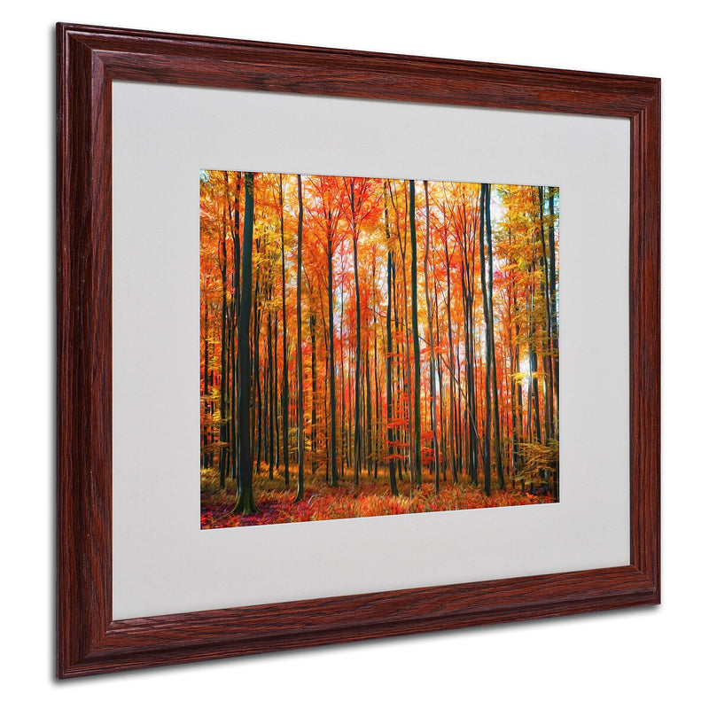 Trademark Fine Art 'Dominated' 16" x 20" Wood Frame Art