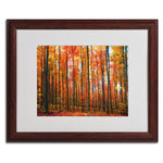 Trademark Fine Art 'Dominated' 16" x 20" Wood Frame Art