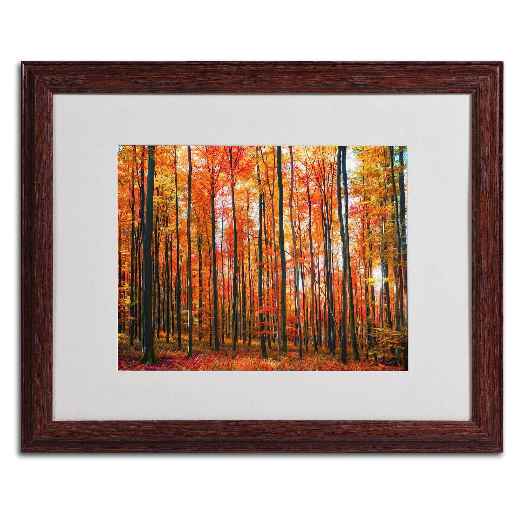 Trademark Fine Art 'Dominated' 16" x 20" Wood Frame Art