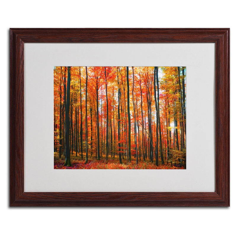 Trademark Fine Art 'Dominated' 16" x 20" Wood Frame Art