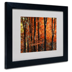 Trademark Fine Art 'Indisputable Truth' 11" x 14" Black Frame Art