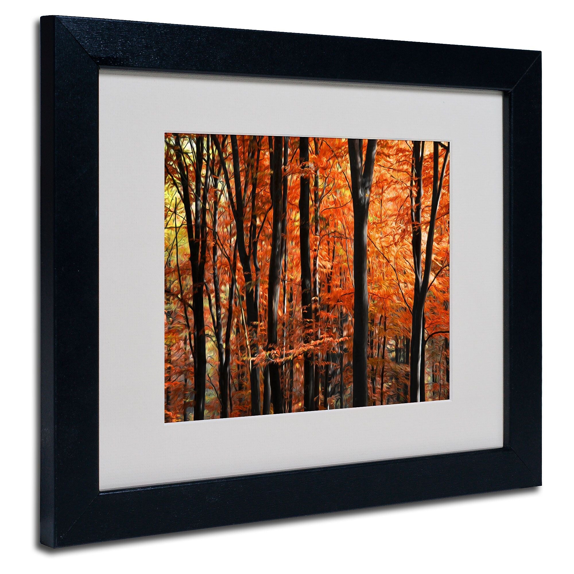 Trademark Fine Art 'Indisputable Truth' 11" x 14" Black Frame Art