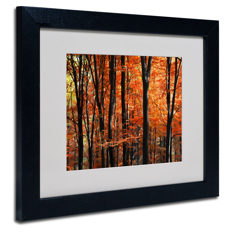 Trademark Fine Art 'Indisputable Truth' 11" x 14" Black Frame Art