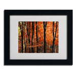 Trademark Fine Art 'Indisputable Truth' 11" x 14" Black Frame Art
