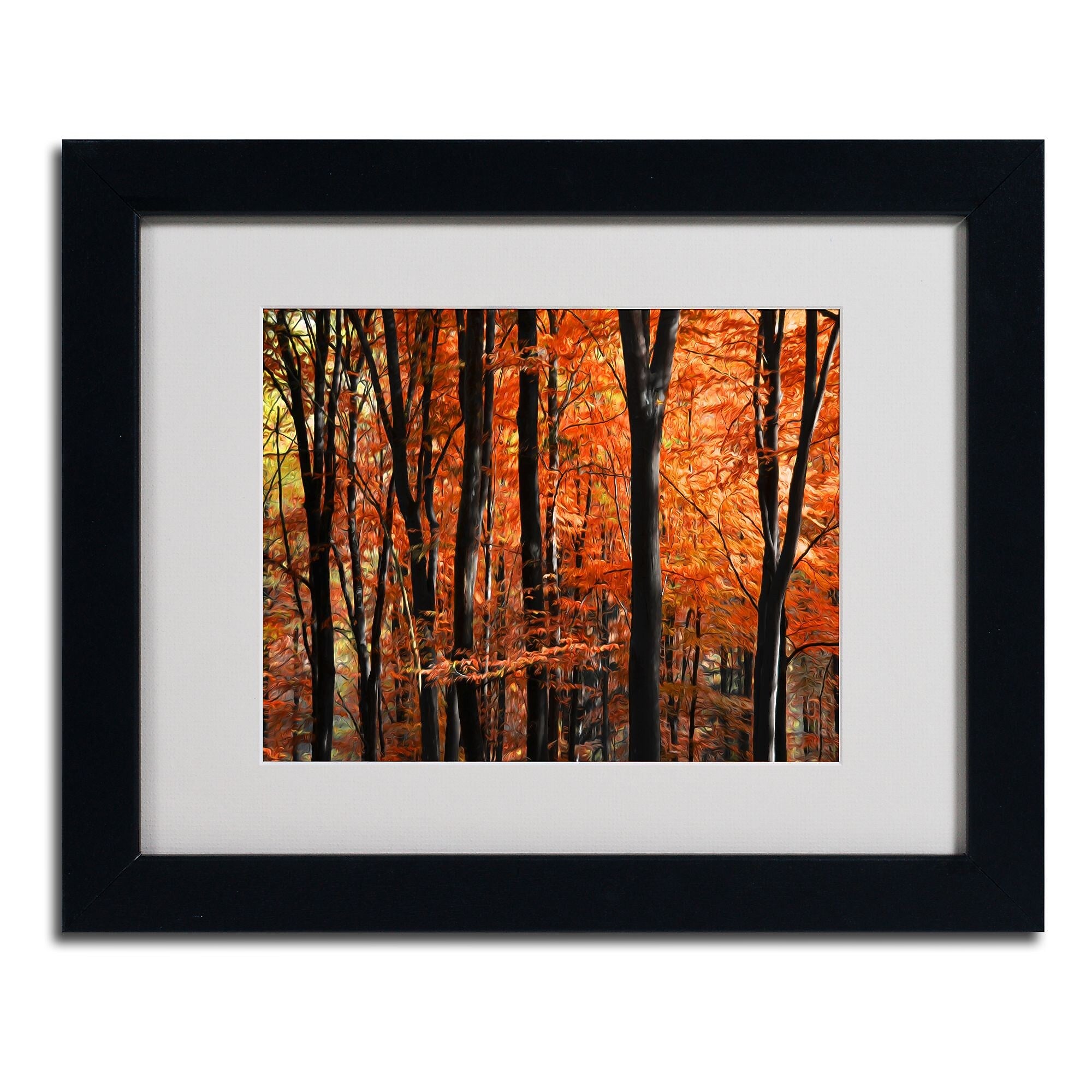 Trademark Fine Art 'Indisputable Truth' 11" x 14" Black Frame Art