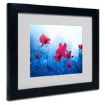 Trademark Fine Art 'Jam for Poppies' 11" x 14" Black Frame Art