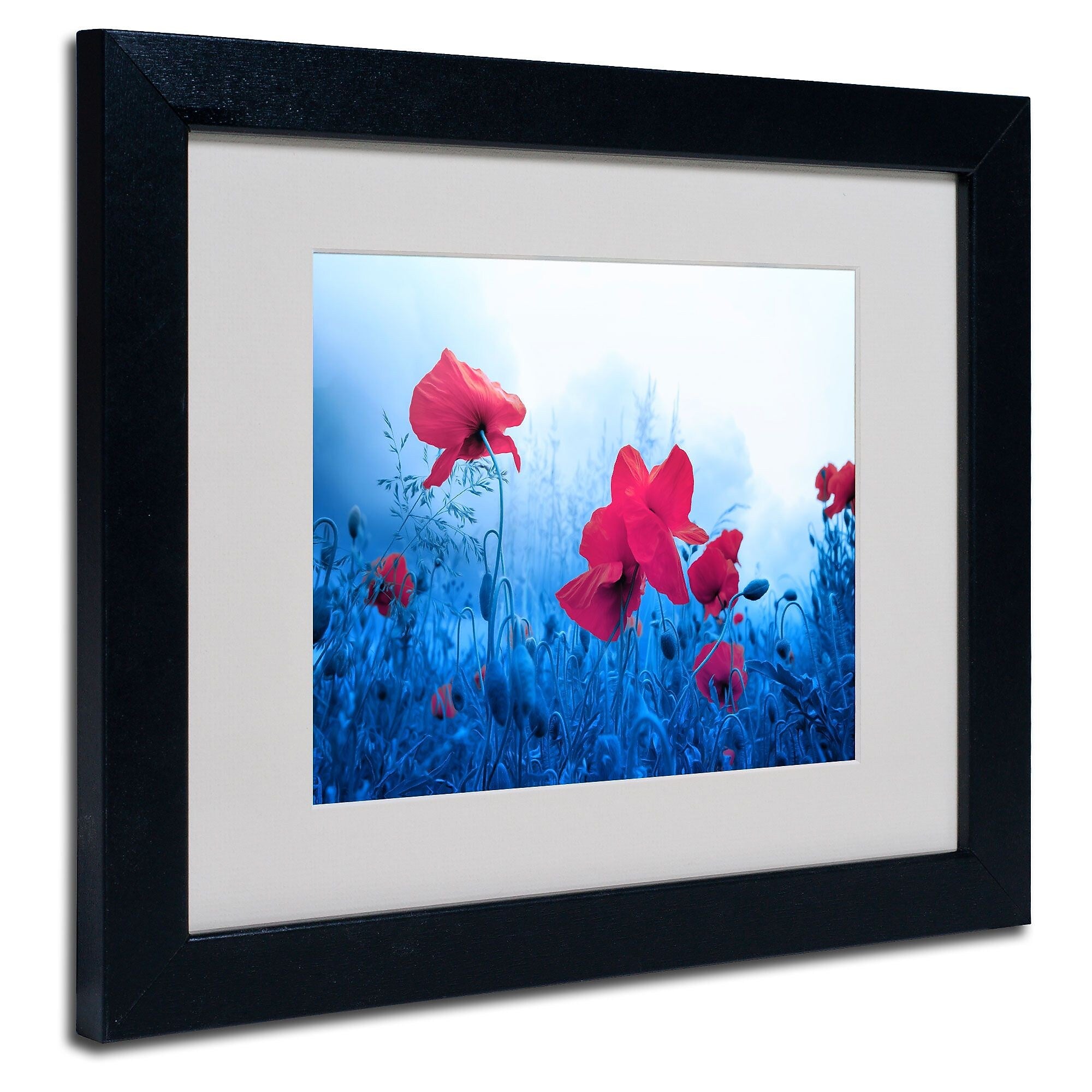Trademark Fine Art 'Jam for Poppies' 11" x 14" Black Frame Art