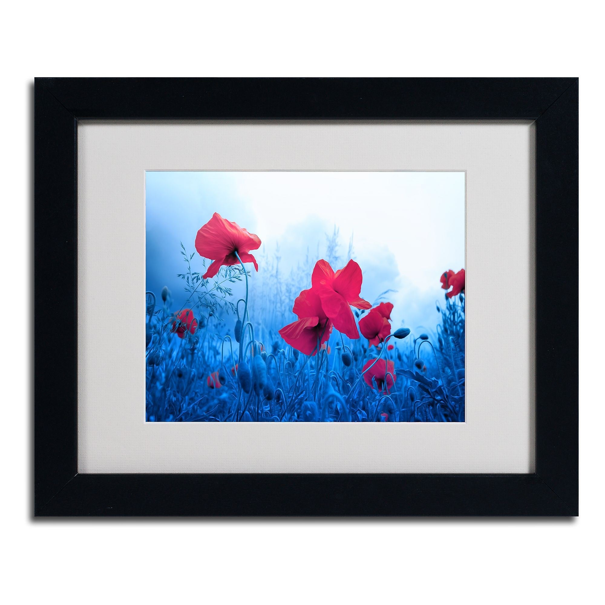 Trademark Fine Art 'Jam for Poppies' 11" x 14" Black Frame Art
