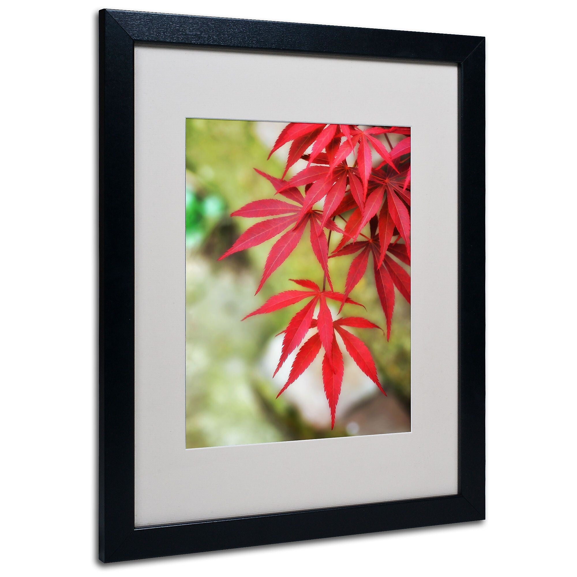 Trademark Fine Art 'Japanese Maple' 16" x 20" Black Frame Art