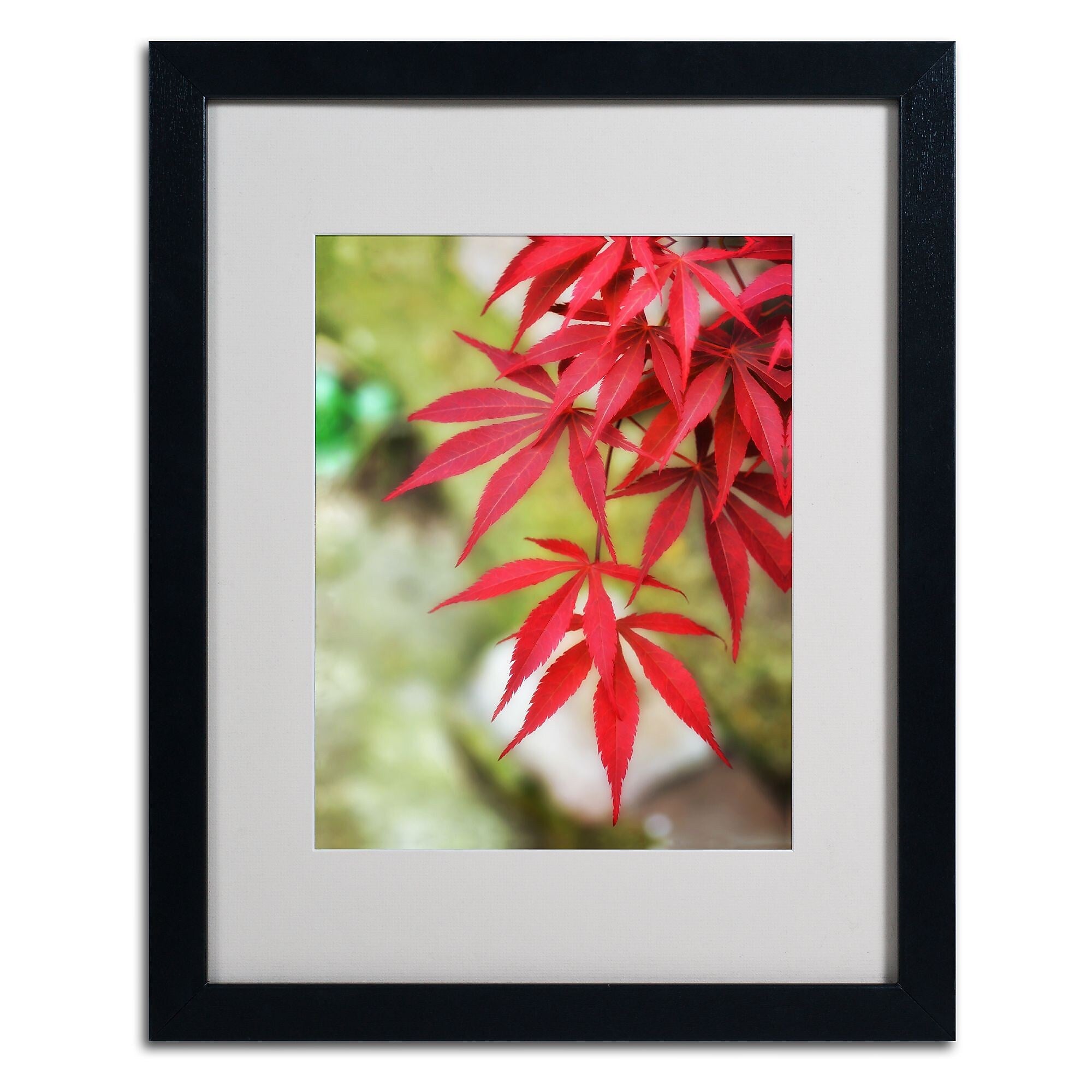 Trademark Fine Art 'Japanese Maple' 16" x 20" Black Frame Art