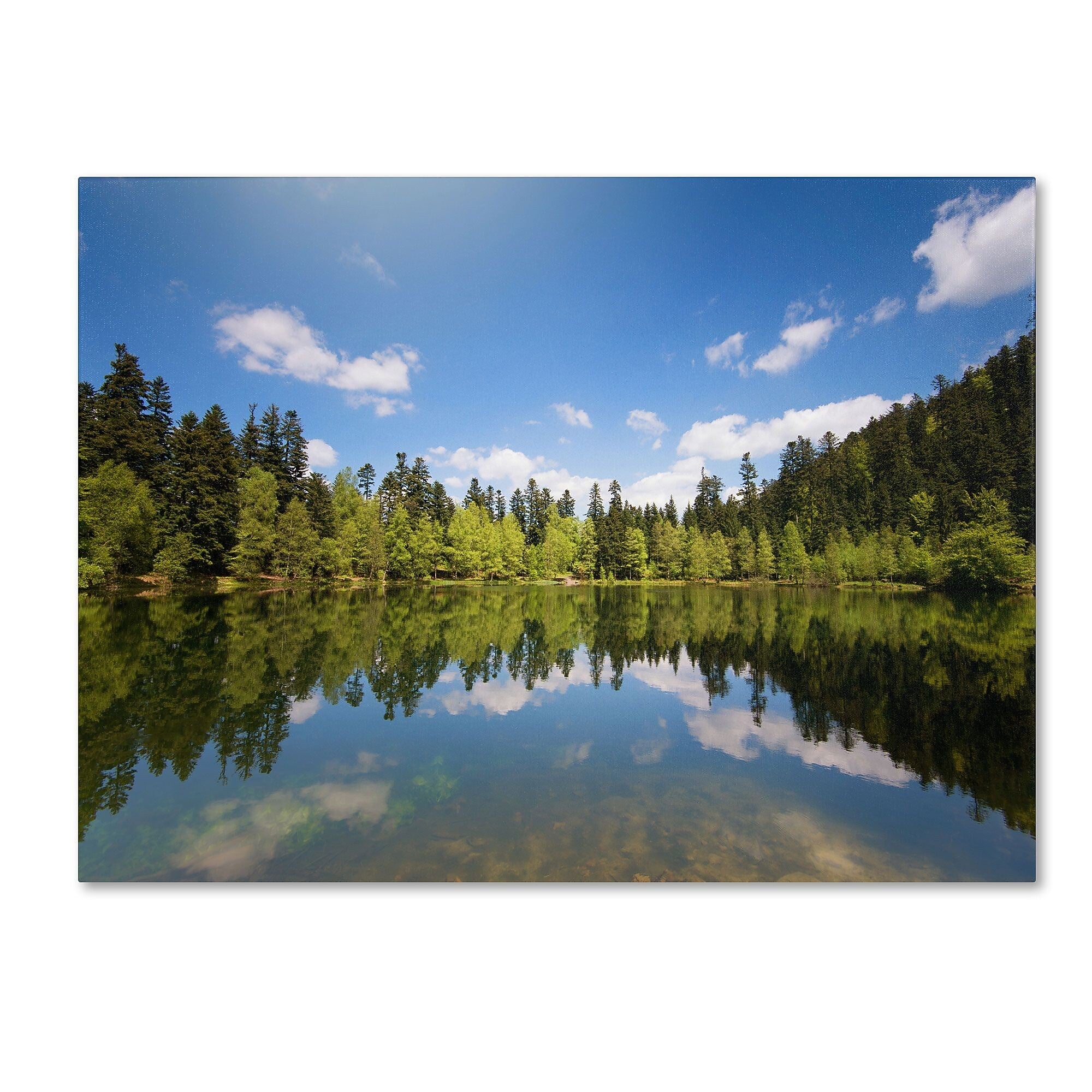 Trademark Fine Art 'Lake Maix' 30" x 47" Canvas Art