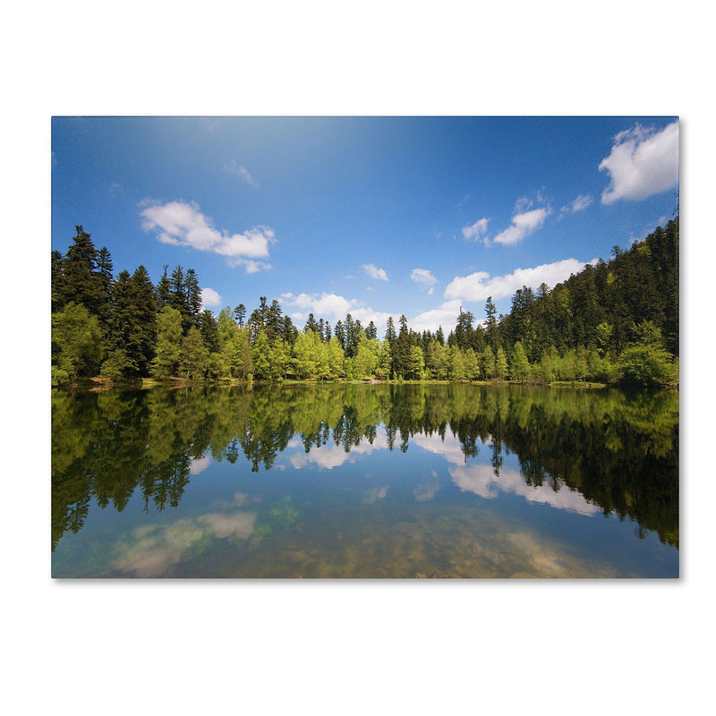 Trademark Fine Art 'Lake Maix' 30" x 47" Canvas Art