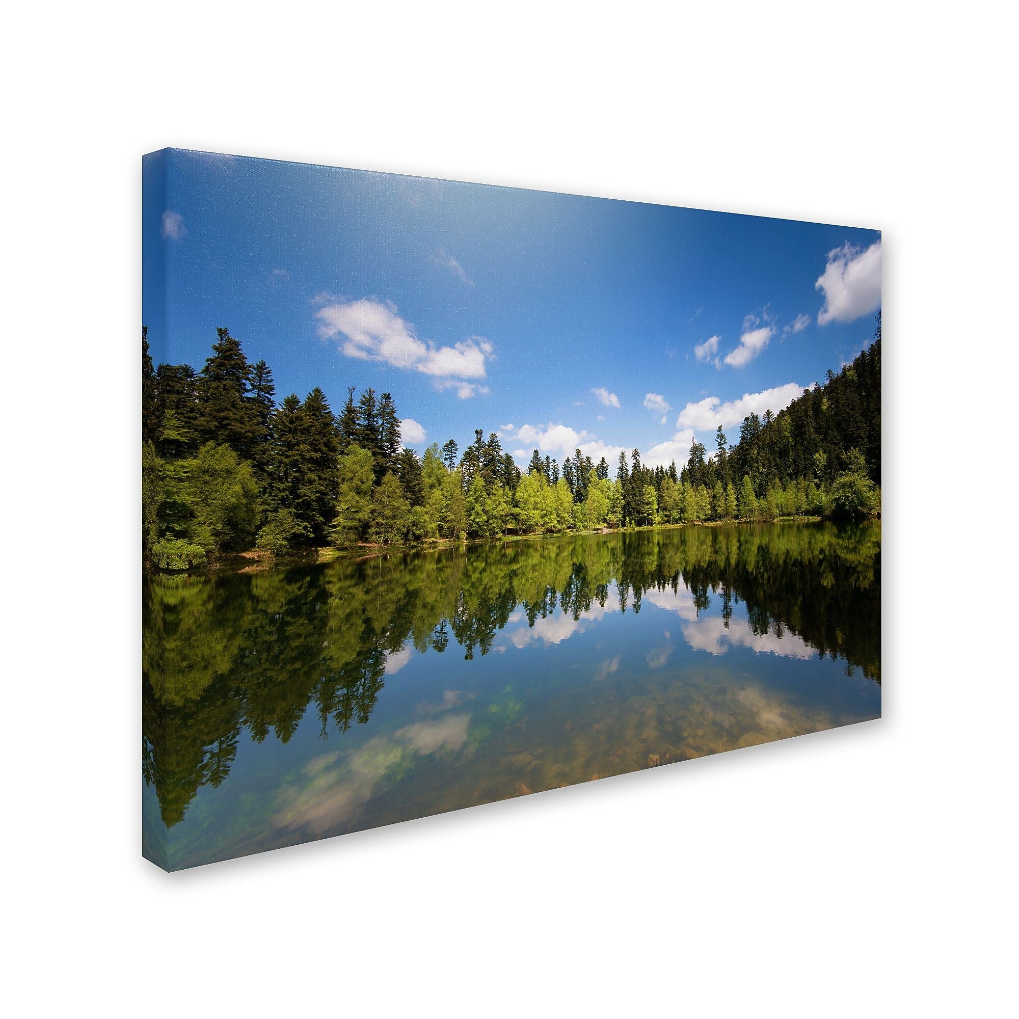 Trademark Fine Art 'Lake Maix' 30" x 47" Canvas Art