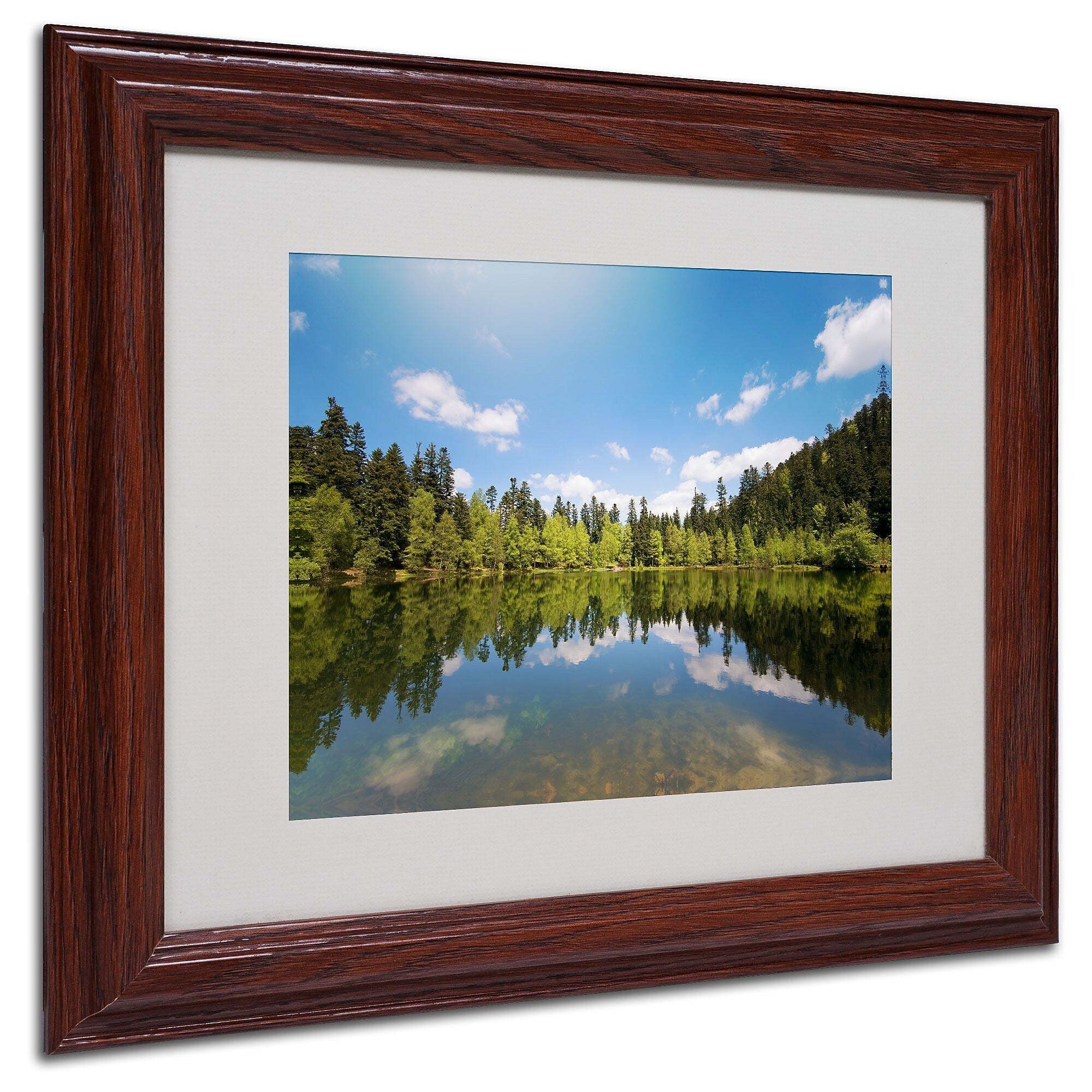 Trademark Fine Art 'Lake Maix' 11" x 14" Wood Frame Art