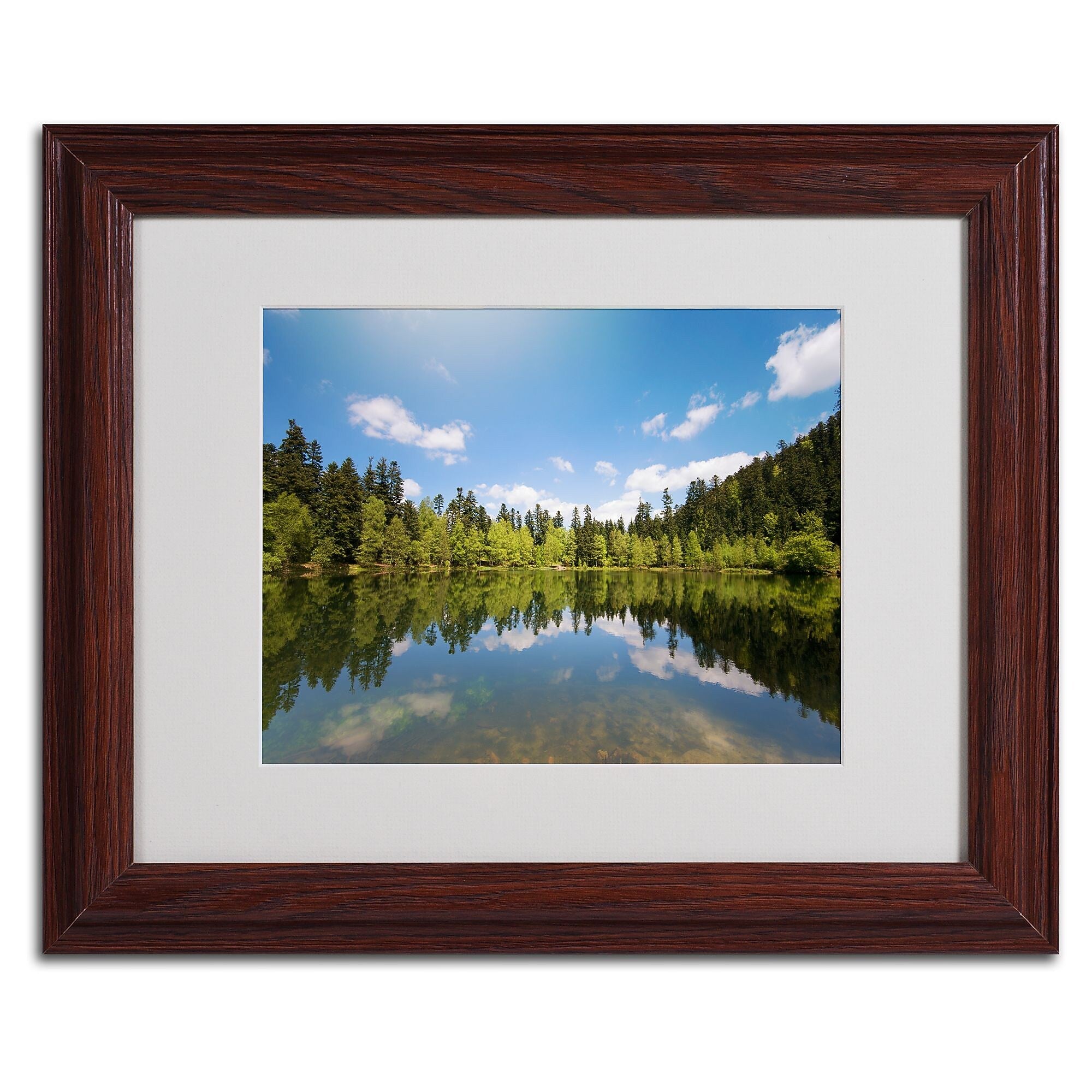 Trademark Fine Art 'Lake Maix' 11" x 14" Wood Frame Art