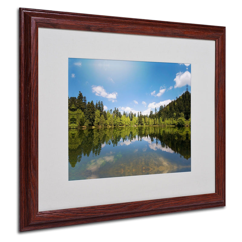 Trademark Fine Art 'Lake Maix' 16" x 20" Wood Frame Art