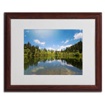 Trademark Fine Art 'Lake Maix' 16" x 20" Wood Frame Art