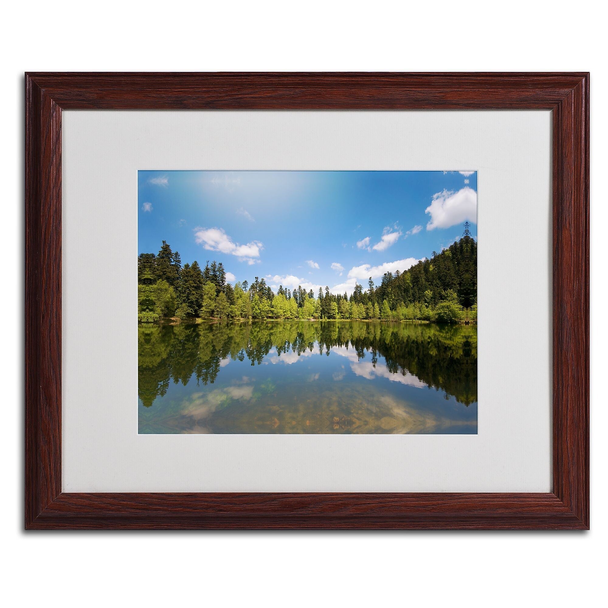 Trademark Fine Art 'Lake Maix' 16" x 20" Wood Frame Art