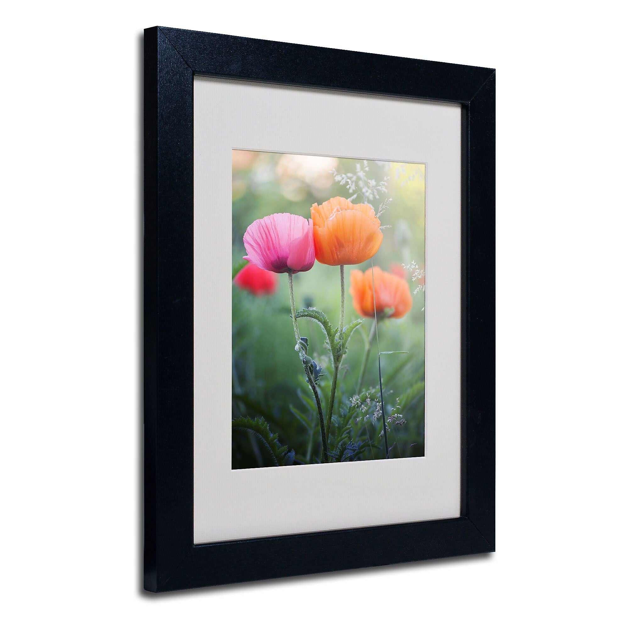 Trademark Fine Art 'Love Me Again' 11" x 14" Black Frame Art