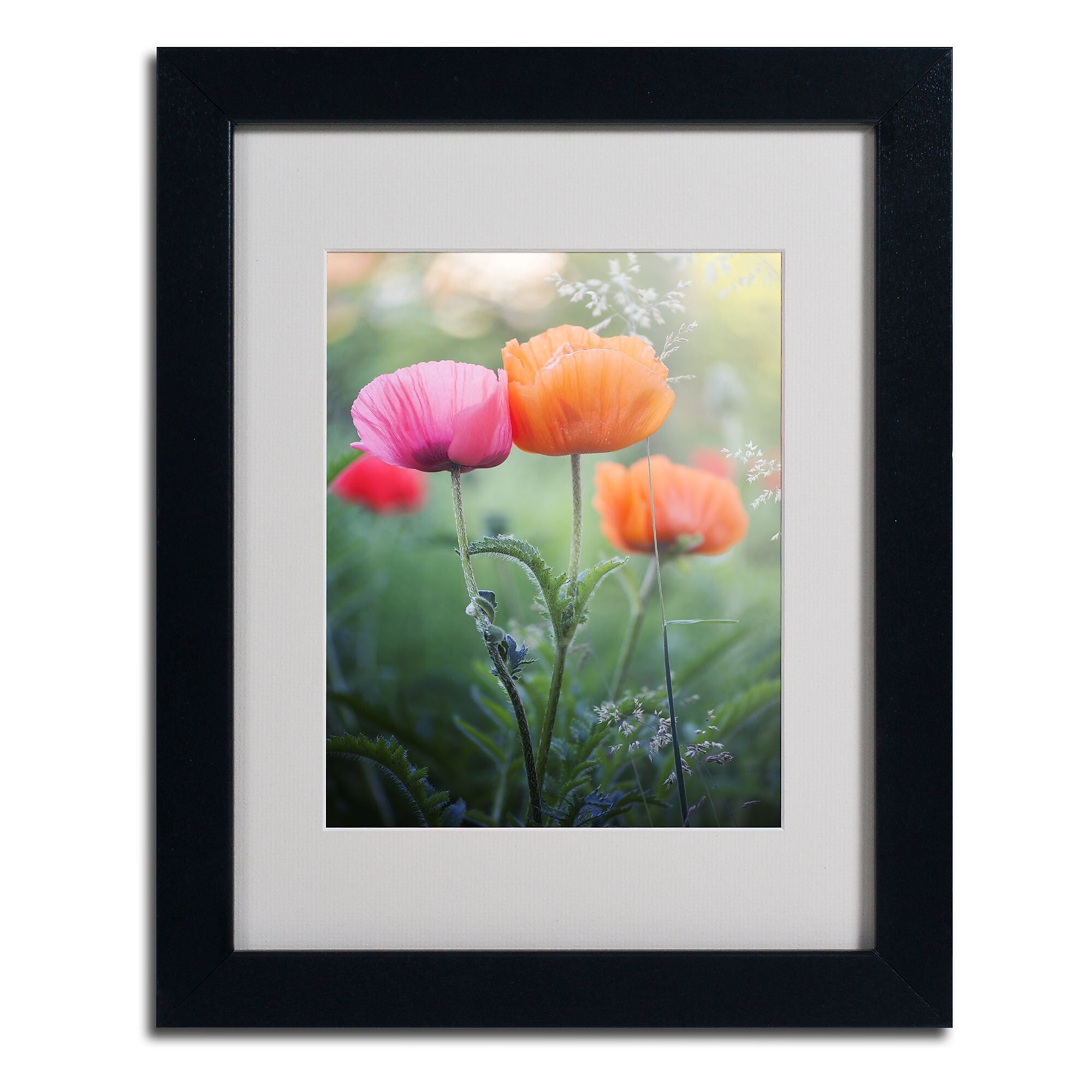 Trademark Fine Art 'Love Me Again' 11" x 14" Black Frame Art