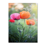 Trademark Fine Art 'Love Me Again' 30" x 47" Canvas Art