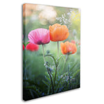 Trademark Fine Art 'Love Me Again' 30" x 47" Canvas Art