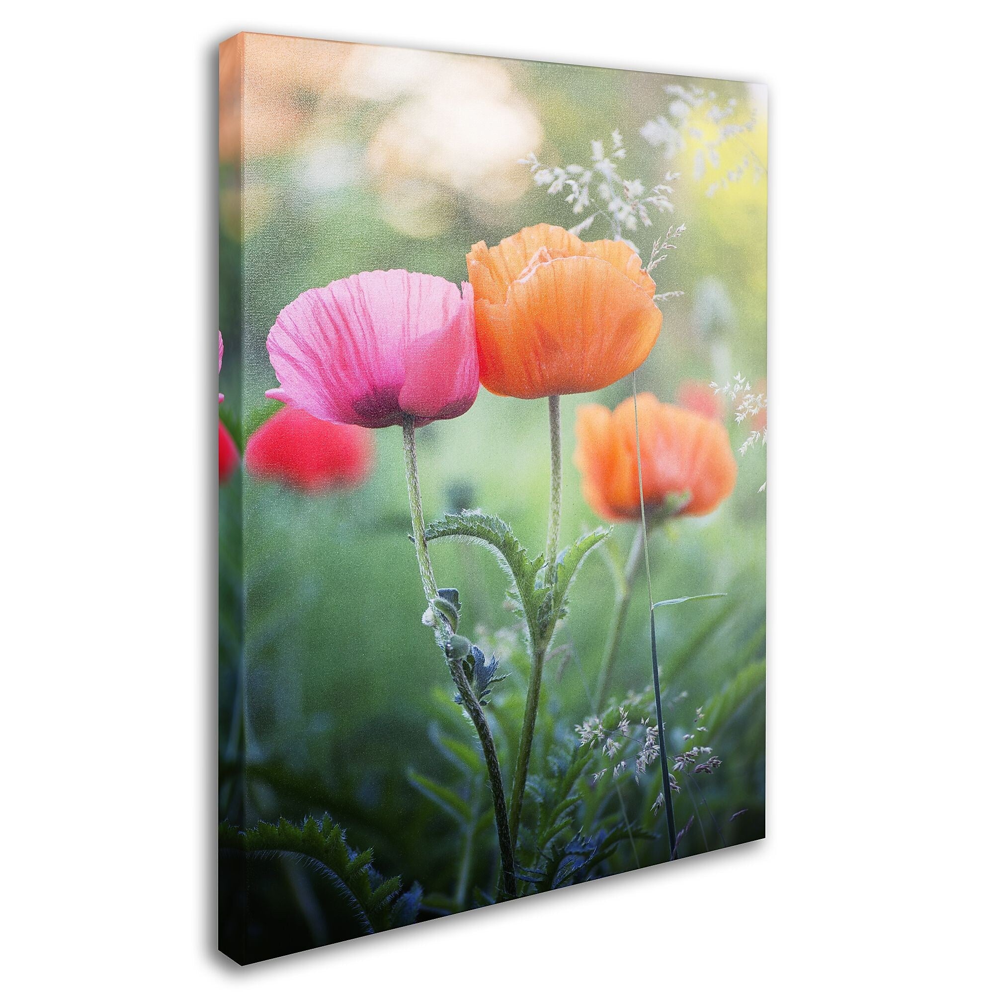 Trademark Fine Art 'Love Me Again' 16" x 24" Canvas Art