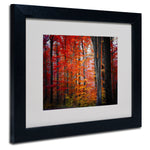 Trademark Fine Art 'No Title' 11" x 14" Black Frame Art