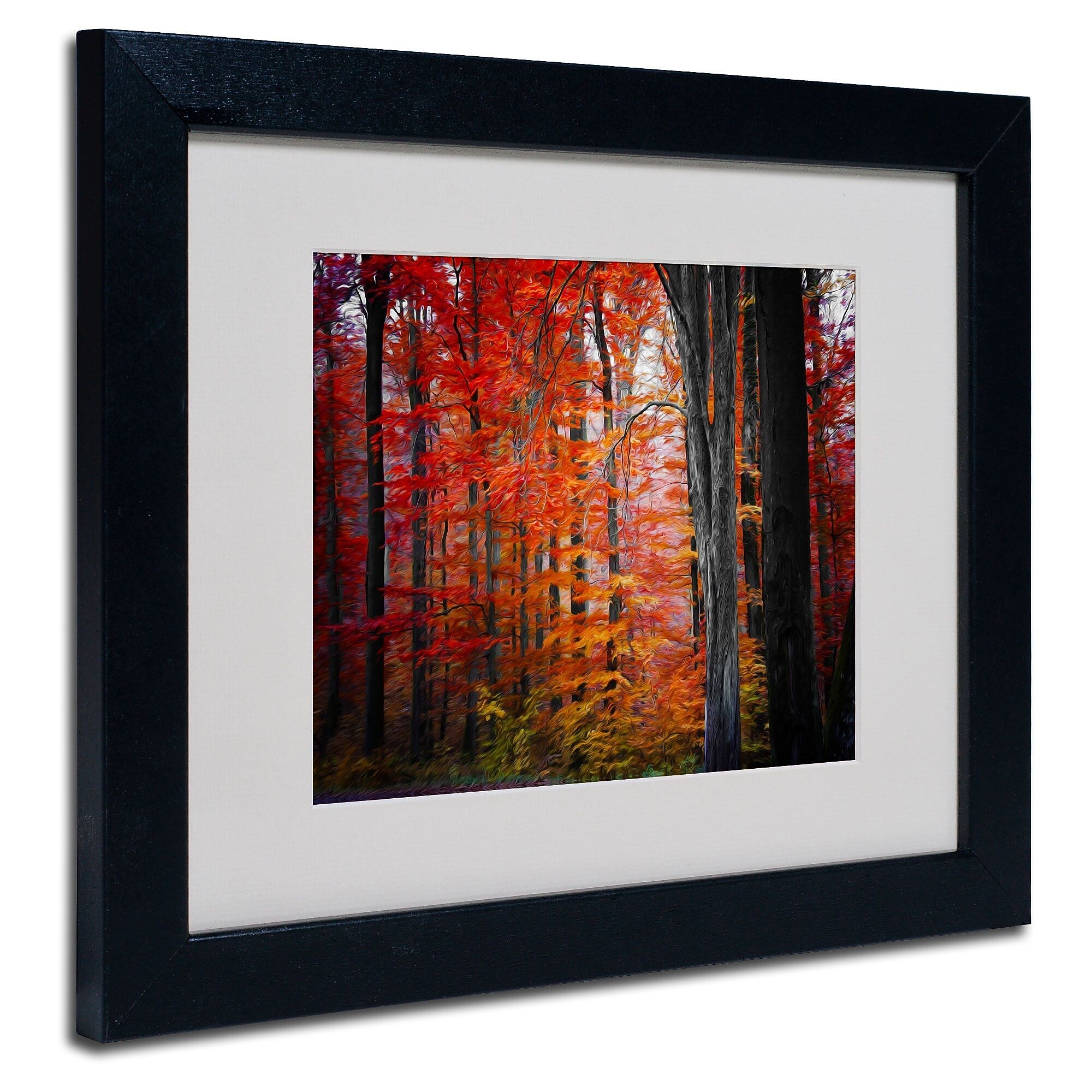 Trademark Fine Art 'No Title' 11" x 14" Black Frame Art