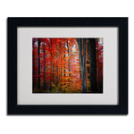 Trademark Fine Art 'No Title' 11" x 14" Black Frame Art
